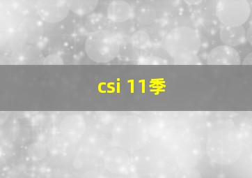 csi 11季